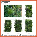 CRC Artificial Wall Plants