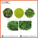 CRC Artificial Framed Hedge