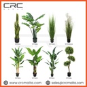 CRC Artificial Plant Tree in Malta