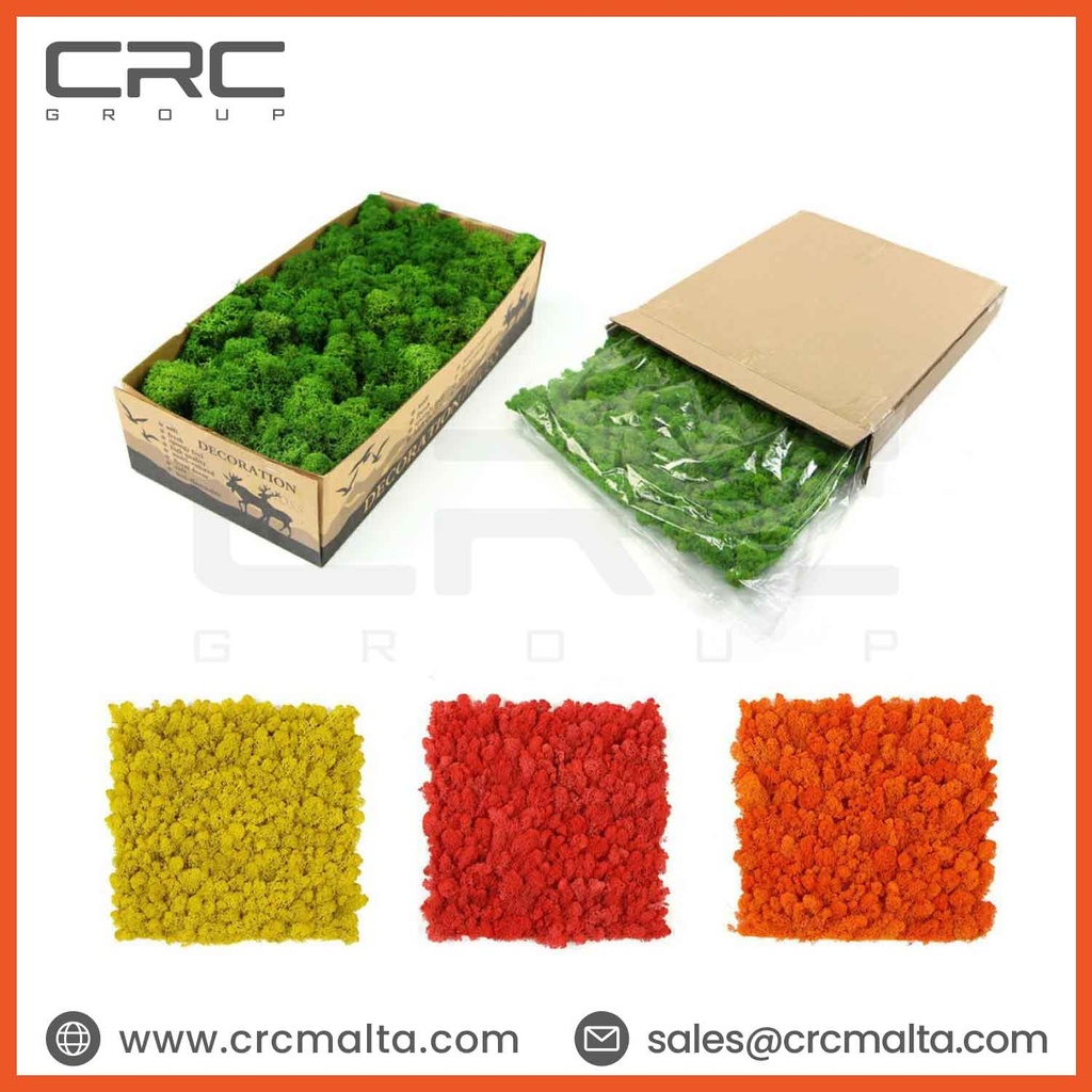 CRC Artificial Preserved Moss