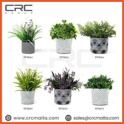 CRC Potted Plant Table in Malta